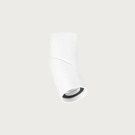 Axis Small Surface Downlight